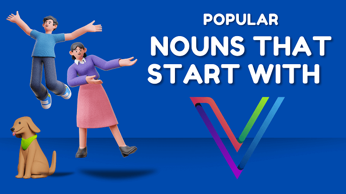 useful nouns that start with v in english