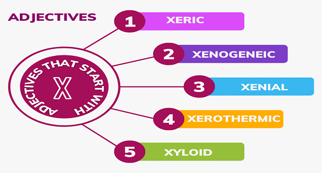 Adjectives That Start With X