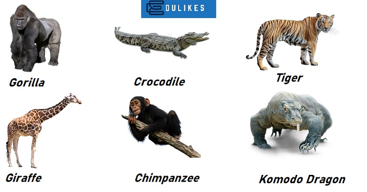 List of Vertebrates