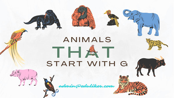 Animals That Start with G