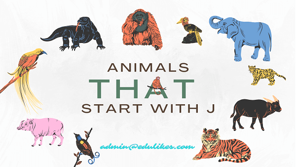 Animals That Start with J