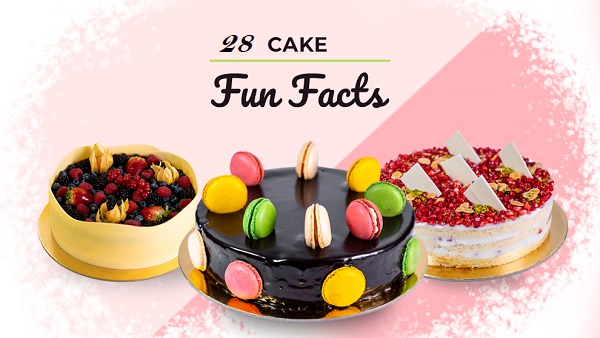 28 cake fun facts
