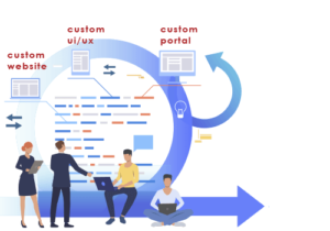 custom software development