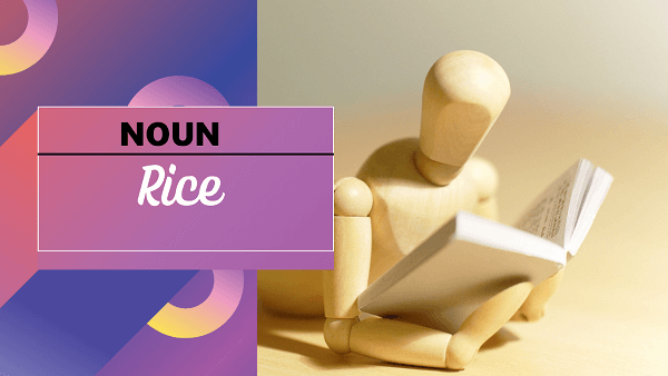 Rice