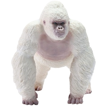 Albino Gorilla