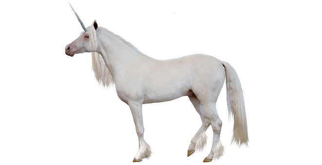 Unicorn