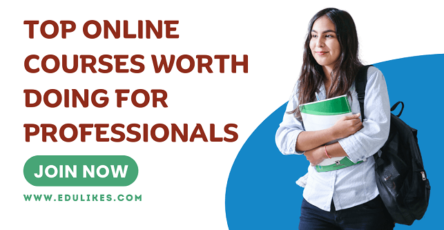 Top Online Courses Worth Doing for Professionals