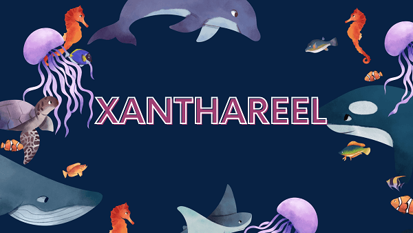 Xanthareel