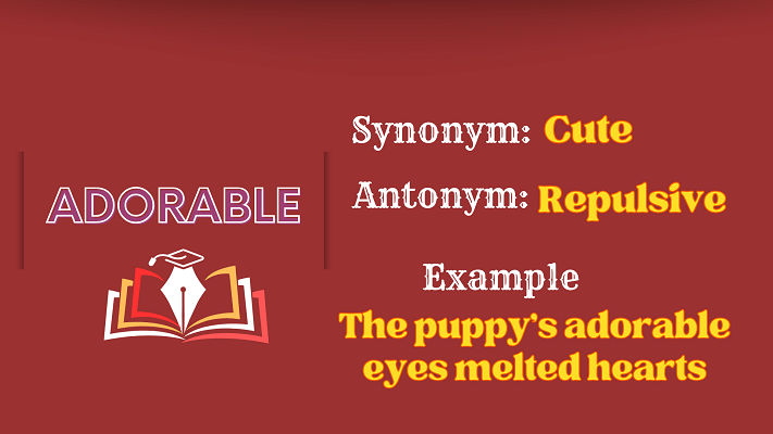Adorable Definition Meaning Synonyms Antonyms Adorable Definition Meaning Synonyms Antonyms