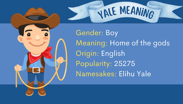 Yale Name Meaning