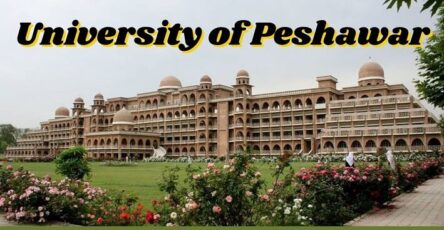 University of Peshawar