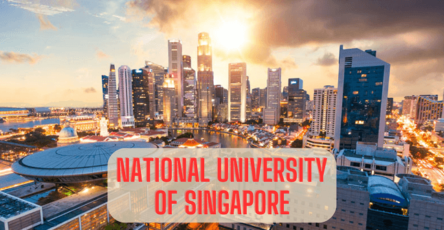 National University of Singapore (NUS)