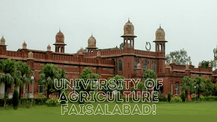 University of Agriculture