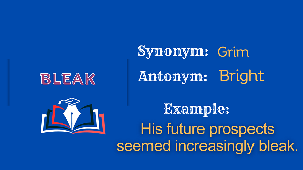 Bleak - Definition, Meaning, Synonyms & Antonym