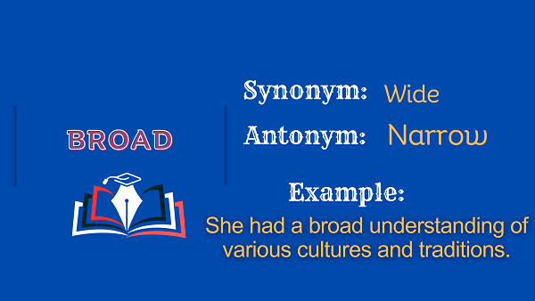 Broad – Definition, Meaning, Synonyms & Antonyms