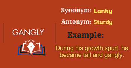 Gangly - Definition, Meaning, Synonyms & Antonyms