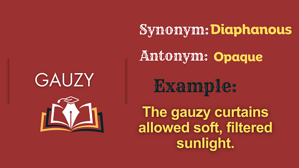 Gauzy - Definition, Meaning, Synonyms & Antonyms
