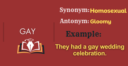 Gay - Definition, Meaning, Synonyms & Antonyms