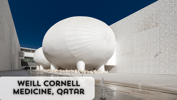 Weill Cornell Medicine, Qatar
