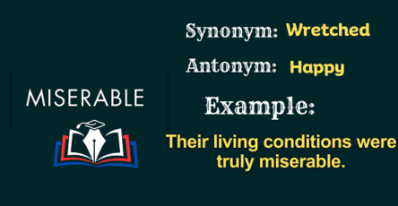 Miserable – Definition, Meaning, Synonyms & Antonyms