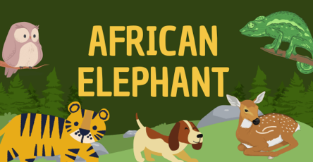 African Elephant | Facts, Diet, Habitat & Pictures