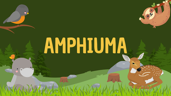 Amphiuma | Facts, Diet, Habitat & Pictures