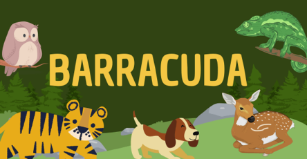 Barracuda | Facts, Diet, Habitat & Pictures