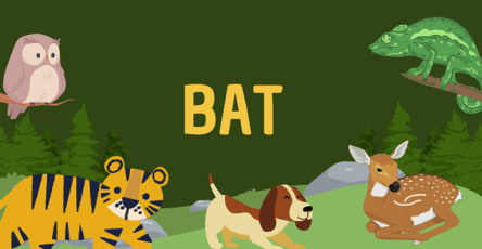 Bat | Facts, Diet, Habitat & Pictures