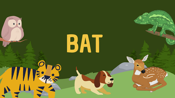 Bat | Facts, Diet, Habitat & Pictures