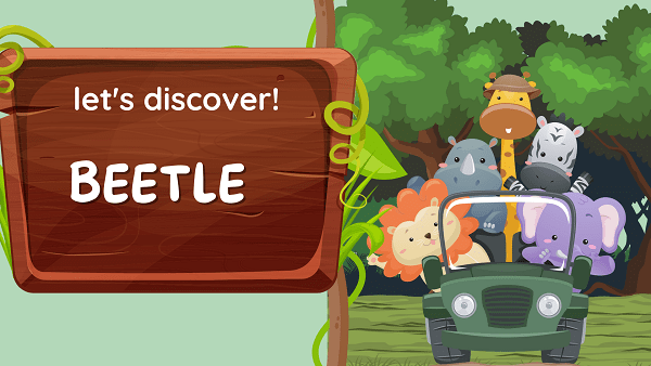Beetle
