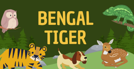 Bengal Tiger | Facts, Diet, Habitat & Pictures