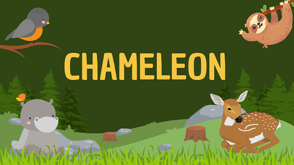 Chameleon | Facts, Diet, Habitat & Pictures