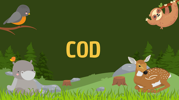 Cod | Facts, Diet, Habitat & Pictures