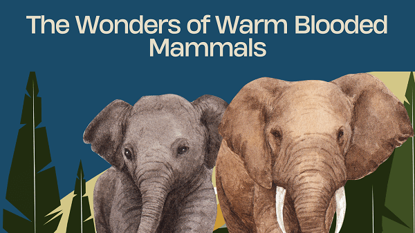 Mammals