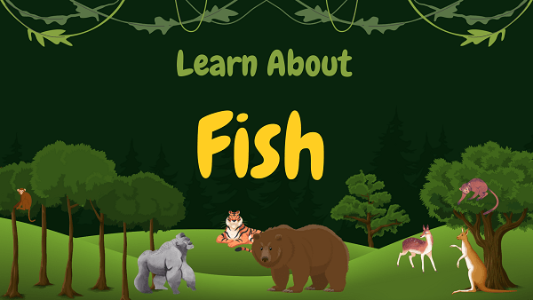 Fish | Facts, Diet, Habitat & Pictures