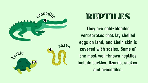 Reptiles