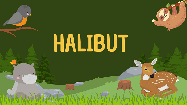 Halibut | Facts, Diet, Habitat & Pictures