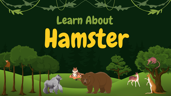 Hamster