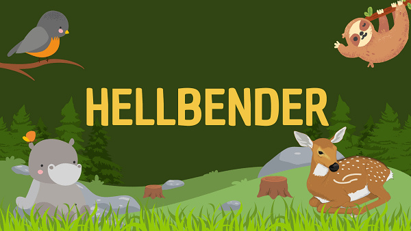 Hellbender | Facts, Diet, Habitat & Pictures