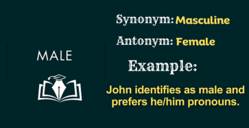 Male – Definition, Meaning, Synonyms & Antonyms