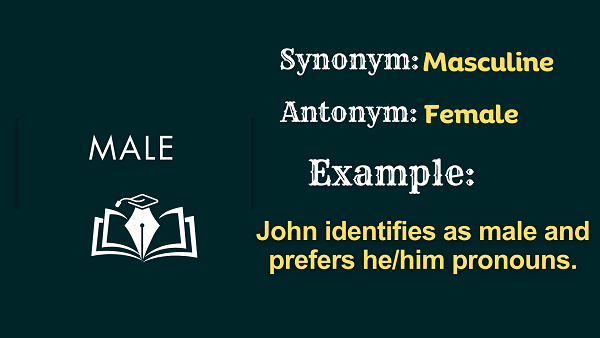 Male – Definition, Meaning, Synonyms & Antonyms
