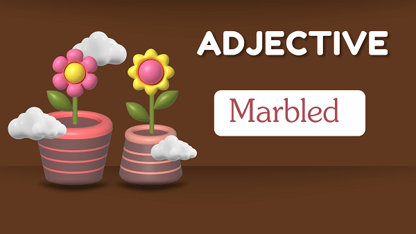 Marbled - Definition, Meaning, Synonyms & Antonym