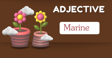 Marine - Definition, Meaning, Synonyms & Antonym