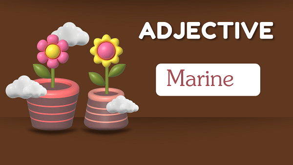 Marine - Definition, Meaning, Synonyms & Antonym
