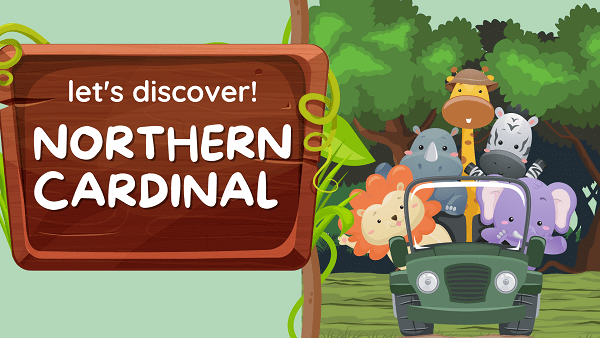 Northern Cardinal | Facts, Diet, Habitat & Pictures