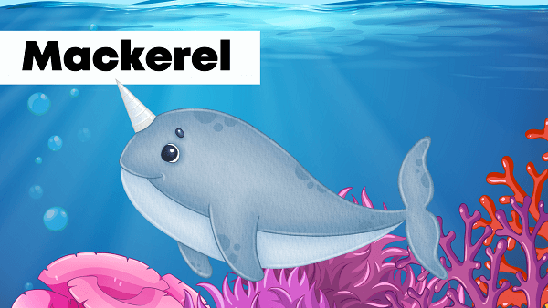 mackerels