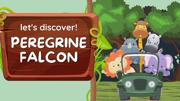 Peregrine Falcon | Facts, Diet, Habitat & Pictures