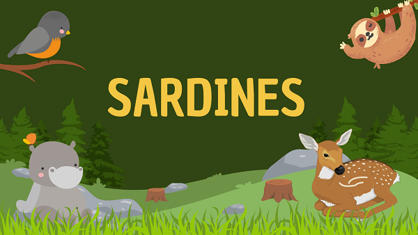 Sardines | Facts, Diet, Habitat & Pictures