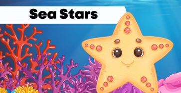 Sea Stars (Starfish) | Facts, Diet, Habitat & Pictures