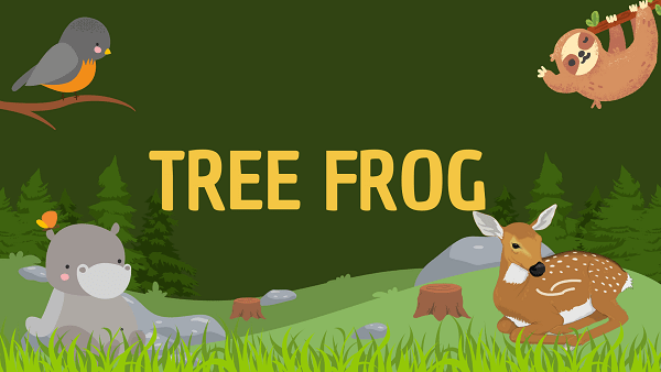 Tree frog | Facts, Diet, Habitat & Pictures